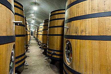 Steam新游周报：《P5X》《赛马娘》登陆steam！